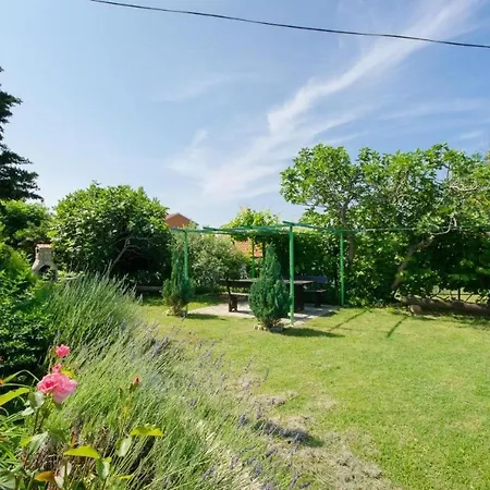 Danica Guest house